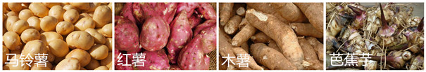 芭蕉芋淀粉加工規模較小的3個(gè)主要原因
